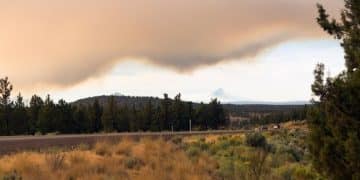 Wildfire Season 2025: Risk Assessment and Evacuation Tips - Cover Image