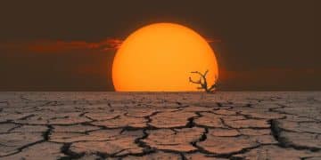 Climate Change & Extreme Weather: Expect the Next 5 Years - Cover Image
