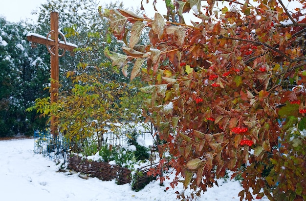Preparing Your Garden for Extreme Weather: A Comprehensive Guide