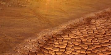 Understanding Drought: Tips & Strategies for Water Conservation - Cover Image