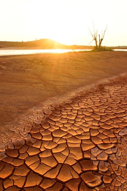 Understanding Drought: Tips & Strategies for Water Conservation