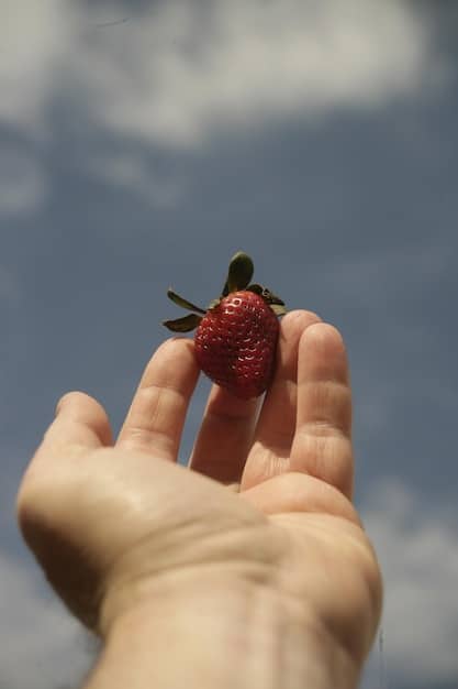 A close-up shot of a hand holding a vibrant red organic strawberry next to a conventionally grown strawberry. The organic strawberry appears slightly larger and more naturally shaped compared to the conventionally grown one, highlighting potential visual differences.