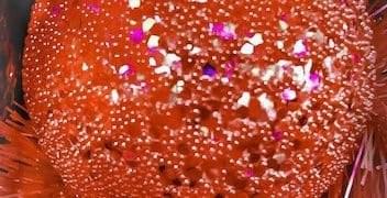 The Latest Advancements in Cancer Treatment: A Promising Future - Cover Image