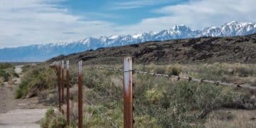 Immigration Reform: Analyzing the New Border Security Bill's Impact - Cover Image