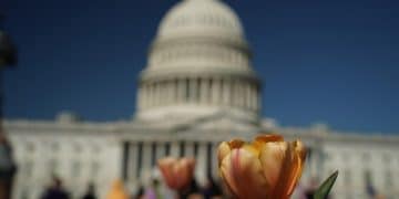 The Future of Gun Control: Analyzing Proposed Reforms & Impacts - Cover Image