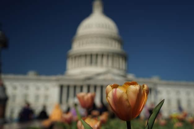 The Future of Gun Control: Analyzing Proposed Reforms & Impacts