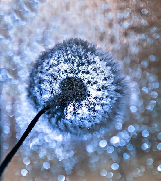 A conceptual image showing a magnified view of tiny, almost microscopic particles emanating from a common household cleaning sponge, representing airborne residues. The particles have a faint, ominous glow, and a human hand is slightly blurred in the foreground, reaching towards it.