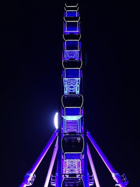 Theme Park Innovations: New Rides & Attractions for Next Year