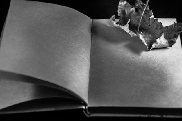 A detailed shot of an open book with light spilling onto its pages, symbolic of stories coming to life, with a blurred film camera in the background.