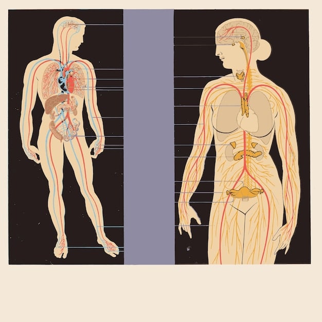 A detailed scientific illustration showing the human nervous system with connections highlighting the sympathetic and parasympathetic pathways, and subtle visual cues related to heart and blood vessels, indicating the mind-body link.