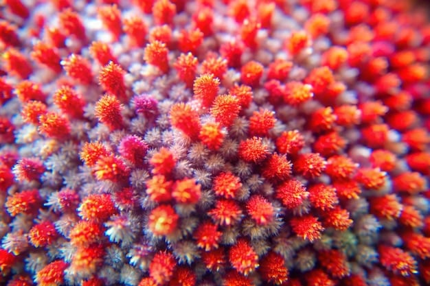 A magnified view of various probiotic strains under a microscope, with vibrant colors highlighting the distinct shapes of bacteria and a blurred background suggestive of cellular structures.