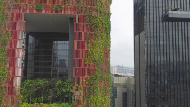 Sustainability Initiatives: Integrate Environmental Responsibility in Business
