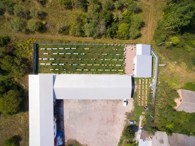 An aerial shot of a modern, eco-friendly factory building with a large green roof and array of solar panels. Surrounding the factory are large, healthy trees and well-maintained green spaces, visually connecting industrial activity with natural harmony. In the background, a clear sky with a few wispy clouds adds to the serene ambiance.