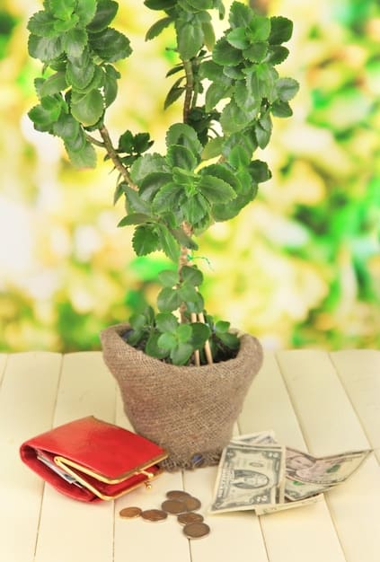 A stack of coins and dollar bills next to a small plant, symbolizing financial growth and savings in a changing economic climate.