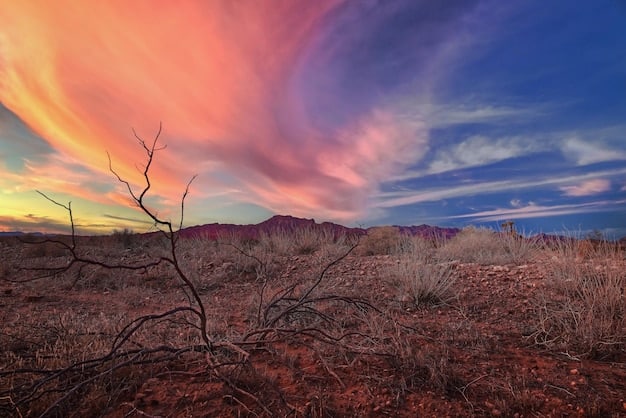 Developing: Wildfires Rage Across Western States, Evacuations in Progress