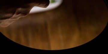 The Resurgence of Vinyl Records: Why Analog Is Making a Comeback - Cover Image
