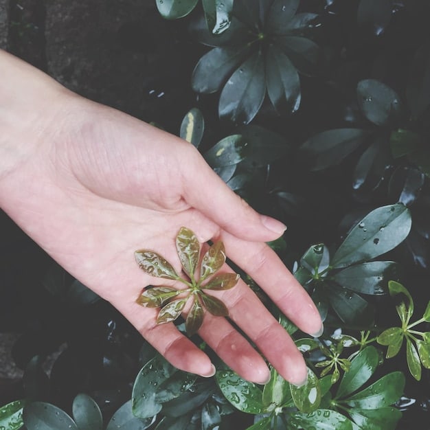 A close-up of hands gently holding a leaf, symbolizing mindfulness and connection with nature. The background is blurred, emphasizing the focus on the leaf. Represents simple ways to Reduce Stress in 5 Minutes through nature.