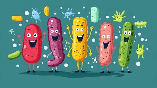 An illustration depicting probiotics (represented as happy bacteria) consuming prebiotics (represented as food particles) within the gut. This visual should highlight the symbiotic relationship and the benefits of combining probiotics and prebiotics.