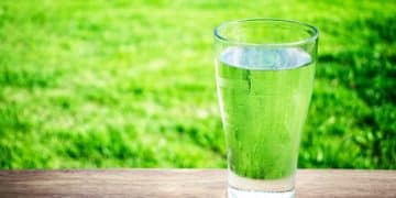 Stay Hydrated: Why Water Matters and How Much You Need - Cover Image