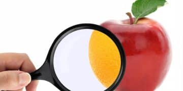 FDA's New Artificial Sweetener Guidelines & Your 2025 Diet - Cover Image